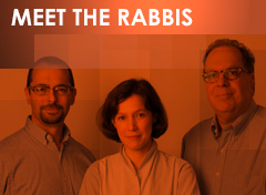 Meet The Rabbis